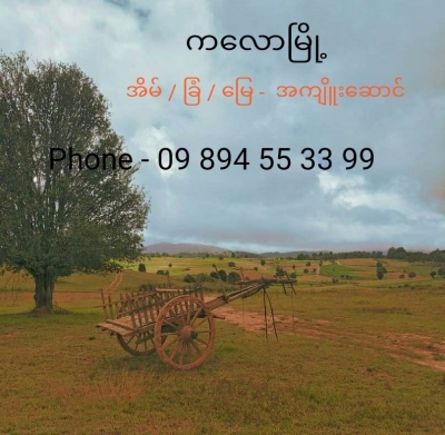 ကလောအိမ်ခြံမြေအကျိုးဆောင်- Myat Min Thaw